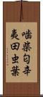 噛柴;匂辛夷;田虫葉 Scroll