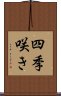 四季咲き Scroll