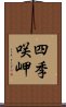 四季咲岬 Scroll