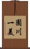 園川一美 Scroll