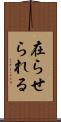 在らせられる Scroll