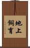 地上飼育 Scroll