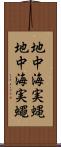 地中海実蝿 Scroll