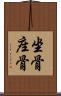 坐骨 Scroll