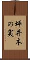 坪井木の実 Scroll