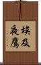埃及夜鷹 Scroll