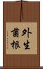 外生菌根 Scroll
