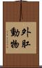 外肛動物 Scroll