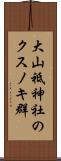 大山祗神社のクスノキ群 Scroll