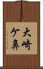 大崎ケ鼻 Scroll