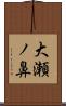 大瀬ノ鼻 Scroll