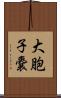 大胞子嚢 Scroll