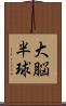 大脳半球 Scroll