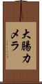 大腸カメラ Scroll