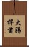 大腸桿菌 Scroll
