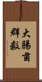 大腸菌群数 Scroll