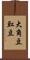 大角豆 Scroll