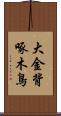 大金背啄木鳥 Scroll
