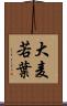 大麦若葉 Scroll