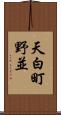 天白町野並 Scroll
