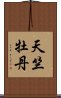 天竺牡丹 Scroll