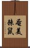 奄美棘鼠 Scroll