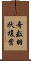 奇数羽状複葉 Scroll