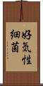 好気性細菌 Scroll
