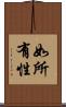 如所有性 Scroll