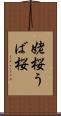 姥桜 Scroll