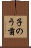 子のう菌 Scroll