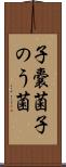子嚢菌 Scroll