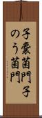 子嚢菌門 Scroll