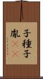 子種 Scroll