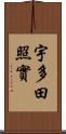 宇多田照實 Scroll