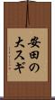 安田の大スギ Scroll