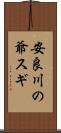安良川の爺スギ Scroll