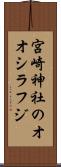 宮崎神社のオオシラフジ Scroll