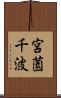宮薗千波 Scroll