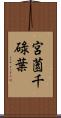 宮薗千碌葉 Scroll