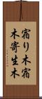 宿り木 Scroll