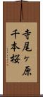 寺尾ヶ原千本桜 Scroll