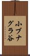 小ブナグラ谷 Scroll