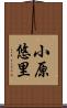 小原悠里 Scroll