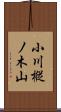 小川樅ノ木山 Scroll