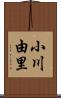 小川由里 Scroll