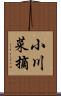 小川菜摘 Scroll