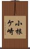 小根ケ崎 Scroll