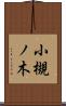 小槻ノ木 Scroll