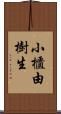 小櫃由樹生 Scroll